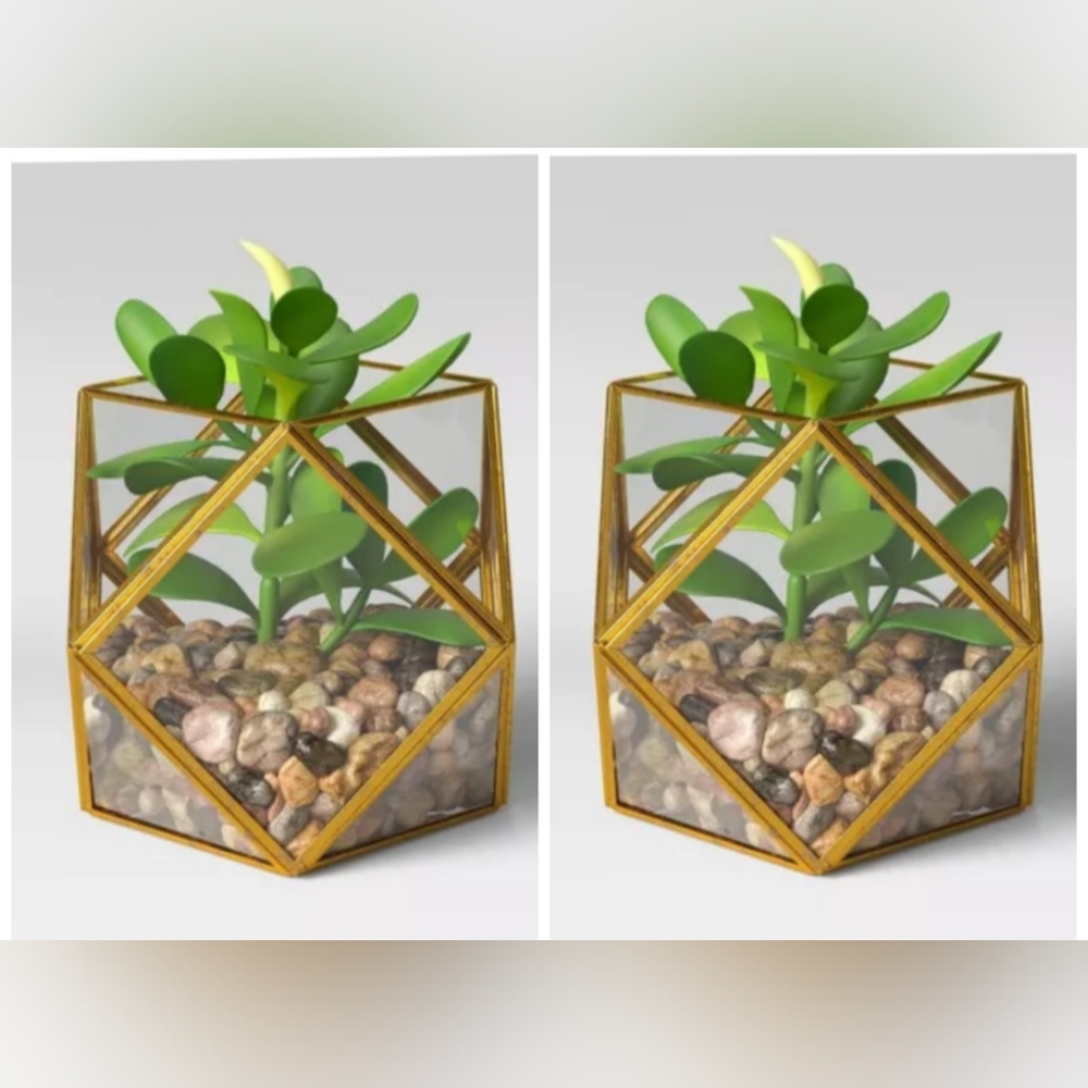 Set o f 2) 5" x 4" Artificial Succulent Plant with Brass Terrarium - Opalhouse